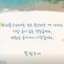 카페인달빛운세