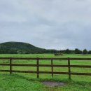 대정목장 이미지