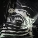 주식회사 크린엘 이미지