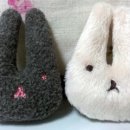 바니헤어 이미지