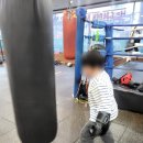 골든보이 복싱짐 이미지