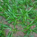 병식농장 이미지