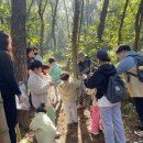 도원초등학교 이미지