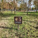 늘솔길공원화장실 이미지