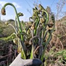 금당목장 이미지