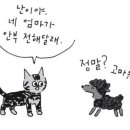 상주숯불막창 네이버블로그