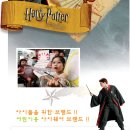 공콘택트렌즈 이미지