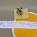 헬로우버디 분당점 이미지