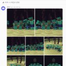 (주)서진캠 | 유흥이 넘쳐나는 대학 한 달