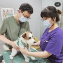 바론동물병원 | [후기] 바론동물의료센터 (이문, 회기, 석관)...동물병원 추천 (내돈내산)