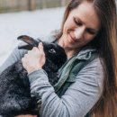 폭스(fox) 이미지