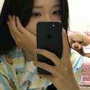 몽상가인(주) | 12월을맞이할준비가안됐는데