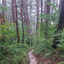 언별1리 이미지