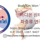 바디온원태즈파충류연구소