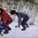 후계자 농원