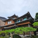 소나무집 | 여주 삼계탕 현지인 맛집 소나무집 내돈내산 후기