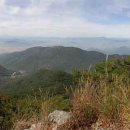 수림목장 이미지