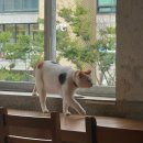 크크노래연습장 | 망원역 카페 추천 카공 노트북 작업하기 좋은 곳, HHSS HOUSE