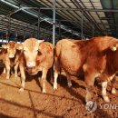 용고개농장 이미지