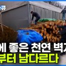 시나몬 만드는 과정, 나무 천연벽지 이미지