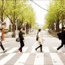 애비로드 이미지