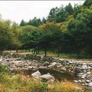 별궁장여관 이미지