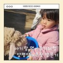아가메농장 | 주말 아기랑 먹이주기체험 양평양떼목장 다녀온 후기