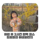 하원 | 인천 서구 아이랑 데이트 코스로 좋아요 드림파크 야생화단지 하원 후 다녀온 후기