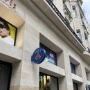 샹제리제 | 프랑스 신혼여행(5): 파리 생제르맹 스토어, 개선문, 샹제리제 거리 후기