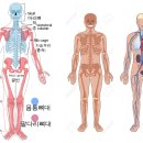 *오작동과 에너지장* 이미지