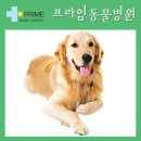 정서동물병원 이미지