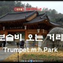 보슬비 오는 거리(트럼펫&amp;테너색소폰) 이미지