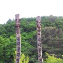 자연치유생태마을(대티골) Daum카페