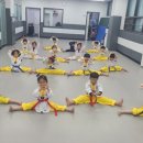 행복한부부태권도장 이미지