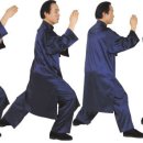 이찬태극권도관 동아일보