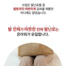 제이앤씨월드