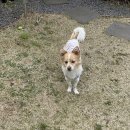 폴리크롬스튜디오