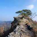 금성 주유소 이미지