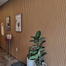 원조개금밀면 광안리점 이미지