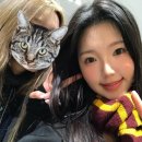 팝업 위자드몰 굿즈, 포토존 및 방문 후기 • 서면 롯데백화점 부산본점 놀거리 • 서면 팝업스토어...