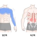 필라테스, 헬스 .. 어떤 운동이 나에게 맞을까