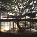 느티나무유치원 이미지