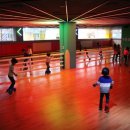 사계절푸른솔태권도 이미지