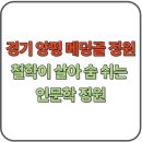 삶을 빛내는 여행+인문학 | 양평 메덩골 정원 가볼만한곳 BEST, 철학이 살아 숨 쉬는 인문학 정원
