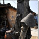 영천 돌메기 매운탕 이미지