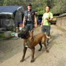 하리 농장 이미지