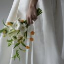 새만금동물병원 | [촬영] 전북에서 야외 웨딩 스냅 찍기 | 부케 뮤게 | 의상 수자드레스 | 업체 리호필름