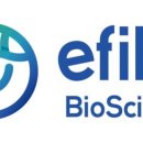 에필(EFIL)
