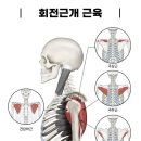 더바른한의원 이미지