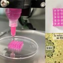 바이오헤드 이미지